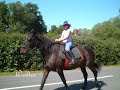My riding journey...