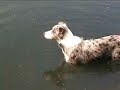 playing at the pond
