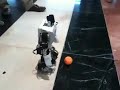 Robosoccer