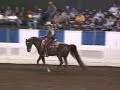 US Arabian Western Pleasure Open Section A US Arabian Western Pleasure Open Section A