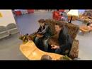 Petrol Heads - Sofa Game Petrol Heads - Sofa Game