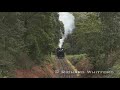 Garratt G42 - Puffing Billy Railway Garratt G42 - Puffing Billy Railway