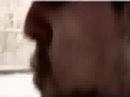 Volbeat - The Garden\ Volbeat - The Garden\