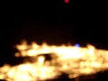 Fantasmic at Disney's Hollywood Studios