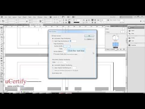 how to define sections in indesign