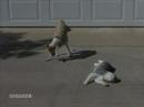 You Ain't Nothin' But a Hound Dog - Screamin' Cutie - Thumb #1
