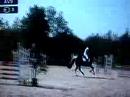 rallye-cheval.html