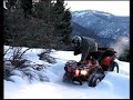 ATV PULSE - 4x4 Quad Action ATV PULSE - 4x4 Quad Action