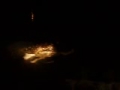 Alligator Vs. White Bread