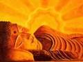 In Love with Meditation - Satsang with Dolano