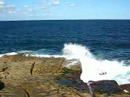 Bondi Beach