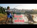 ตกปลายี่สก-แก่งกระจาน 2 Fishing