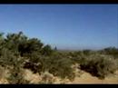 saloum trip