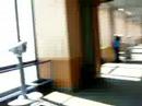 Sears Tower Skydeck walkthrough