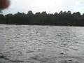 2007 Columbia Tri -Pink Cap Start