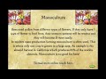 Honey Tribe: Colony Collapse Videos