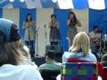 chic gamine - golondrina