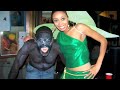 Friday Night Fright @ the St. Louis Public Library