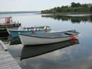 Ode To Botwood