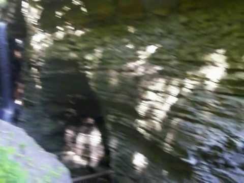 WATKINS GLEN STATE PARK, NEW YORK 010
