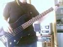 Supuesta's Steady Suite - Satellite Kingston Bass Cover