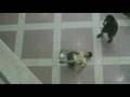 Farabi & Scorpion Freestyle in Qatar