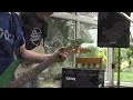 los-bravos-going-nowhere.html