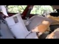 grizzly bear destroys car - YouTube