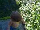 Caroline Vs. The Ivy