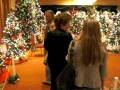 videos de XMAS Tree Display November 2008