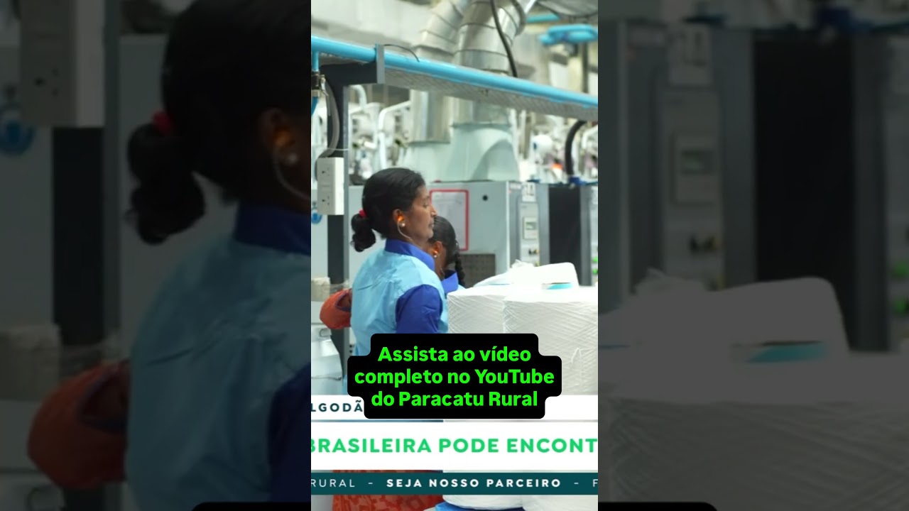 Algodão: boa safra brasileira pode encontrar Mercado em Alta