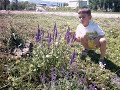 Selim Kars K?r �i�ekleri