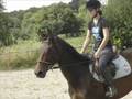 jument dangereuse suite lol puy gerbin top