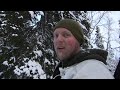 Toppjakt med Kristoffer Clausen, capercaillie hunting