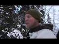 Toppjakt med Kristoffer Clausen, capercaillie hunting