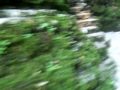 La cascata SLAP KOZJAK, la più suggestiva cascata slovena. Una colonna d'acqua bianca alta 15 metri, molto bella. Un minifilmato ripreso (con la macchina fotografica digitale) domenica 8 luglio 2007, facente parte di una serie di video della gita il cui resoconto si può leggere su http://ferrimarco.blogspot.com