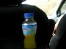 en el auto en el auto