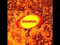 Our Own Revolution - Brainpool Our Own Revolution - Brainpool