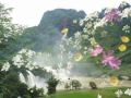 Em Là Tiên Em Lên Núi (Đoan Nguyễn, Quang Nhật)