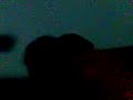 steamerx ritorna steamerx ritorna