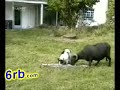 let him drink or