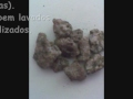 Aqui vc tem uma noção de como plantar uma orquídea...Acesse:http://www.orkut.com.br/Main#Community?cmm=91528145