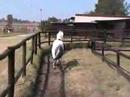 Zerro Free Jumping Part 1