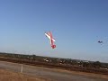 aeromodelo extra tork roll triplo