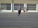 gabri rabona gol dani