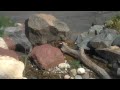 Landscape Design by Chris Orser Landscaping