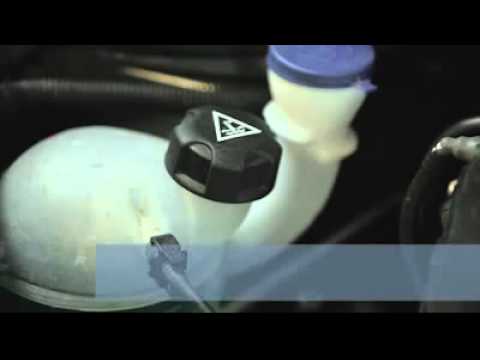How To Check Your Peugeot Coolant Level at WJ King Group