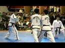 2007 North Korean TKD Demo - Breaking (6)