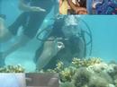 Clip Macei�