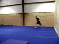 punch front threw to a double